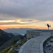 Dani McDonald's photo
