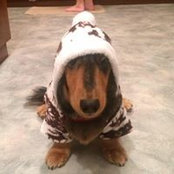Ali Healey's photo
