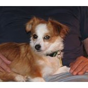 Kathryn DeYoung's photo