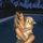 Tatiana B
