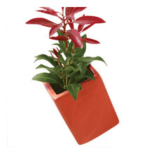 wall planter