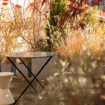 Une terrasse à Paris...