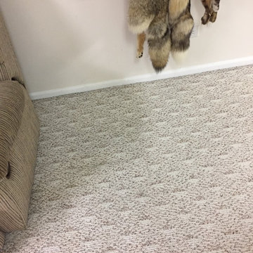 Bloomingdale Basement Berber Carpet Cleaning