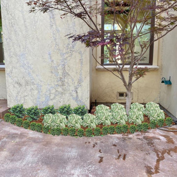 Landscape Designs