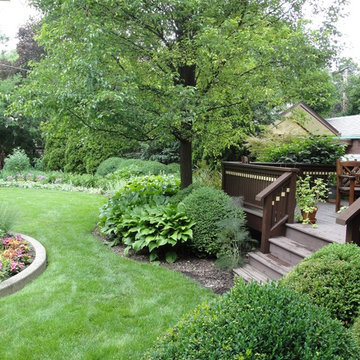 Comprehensive Landscape Re-design