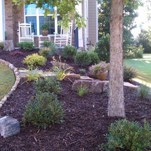 Landscape Ideas