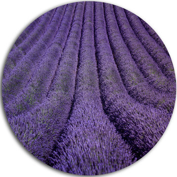 Blooming Lavender Flower Texture, Landscape Disc Metal Wall Art, 36"