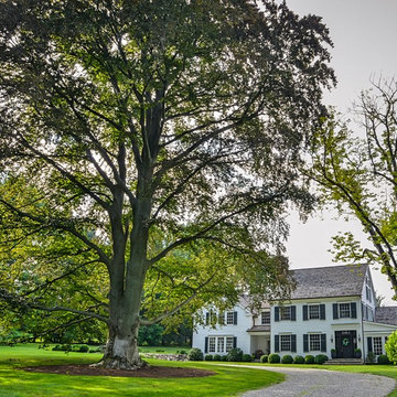 Modern Farmhouse