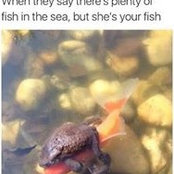 Colin Cota's photo