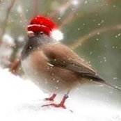 Nancy Burress's photo