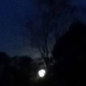 Flora Howard-Murphy's photo