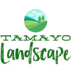 Tamayo Landscape