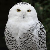 Shel Humphrey's photo
