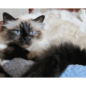 Maureen Paris's photo