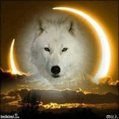 Foto von Deborah Becker