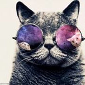 Amy Gibson's photo