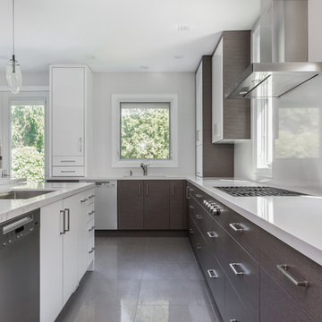 Alta Vista Project