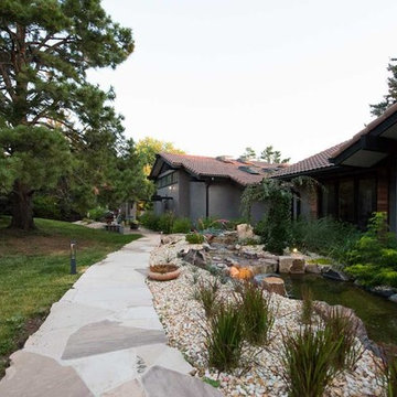 Foothills Home: Landscape Befores + Afters I