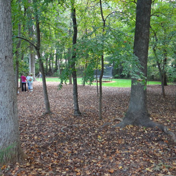 Outdoor BEFORE TreeHouse