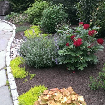 Flagstone Walkway & Privacy Planting