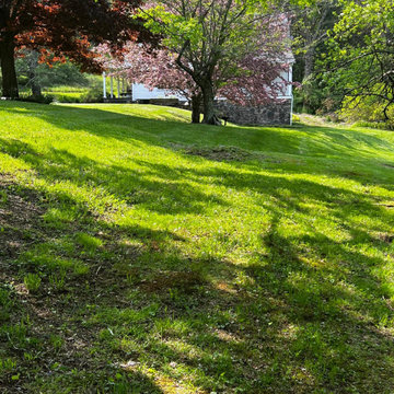 Professional Lawn Care & Mulch Installation