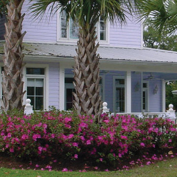 Encore Azalea Landscape