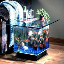 Aquariums