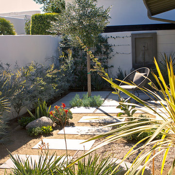 Mid Century Modern in the Hollywood Hills - Front Patio