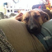 Miranda Woods's photo