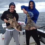 Shaun Atley's photo
