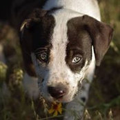 Missy Tucker Mowery's photo