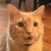 Suzanne Jute's photo