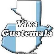 Luis Valladares's photo