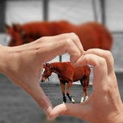 Foto von Tricia Bricker