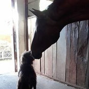 Gaby Dickmann's photo