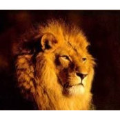 Robert Turland's photo