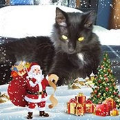 Lynne Whitney's photo