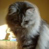 Zeynep Ozturk's photo