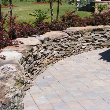 New Home, Backyard from scratch