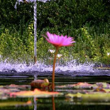 Southampton Water Feature
