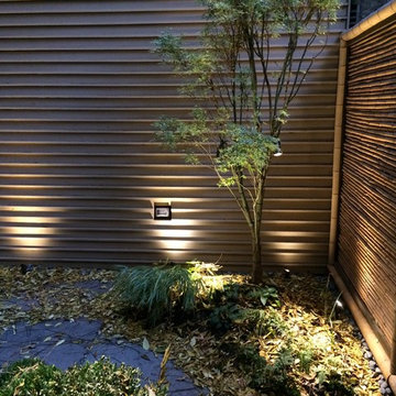 Wood