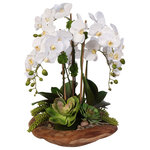 Jenny Silks - Real Touch 6-Stem Phalaenopsis Silk Orchids with Succulents in Natural Wood Bowl - Real Touch 6-Stem Phalaenopsis Silk Orchids with Succulents in Natural Wood Bowl