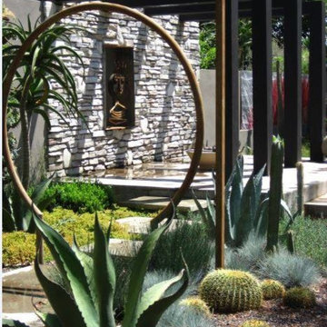 Water Wise Agave, succulent and grasses garden