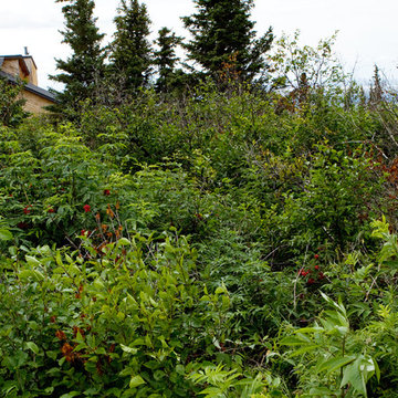 Hillside Lot Perfect For Your Dream Home!