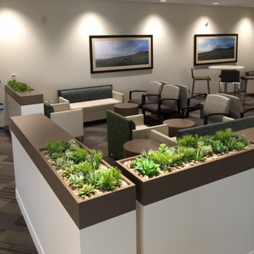 Irvine Medical Building Replica Succulents