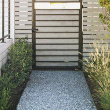 Landscape Ideas