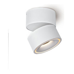 Sasin Mdeium Surface Mounted Spotlight - Spot Lights