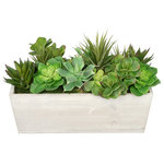House of Silk Flowers, Inc. - Artificial Succulent Garden, Cream Wood Rectangle Planter - You will never have to worry about caring for your succulents again with this artificial succulent garden handcrafted by House of Silk Flowers. This arrangement features an assortment of succulents "potted" in a rustic washed wood planter (16" x 6" x 5 1/2" tall). The succulents have been arranged for 360*-viewing. The overall dimensions are measured leaf tip to leaf tip, from the bottom of the planter to the tallest leaf tip: 18" wide X 9" deep X 11" tall. Measurements are approximate, and will be determined by your final shaping of the plant upon unpacking it. No arranging is necessary, only minor shaping, with the way in which we package and ship our products. This product is only recommended for indoor use.