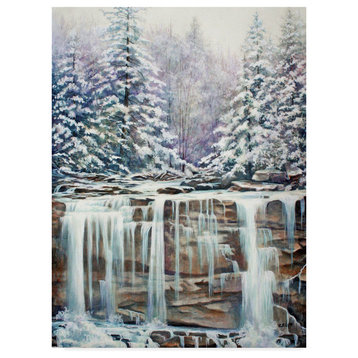 Carol J Rupp 'Winter Falls' Canvas Art, 18"x24"