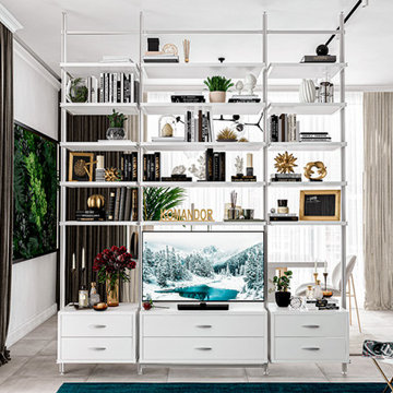 Entertainment Systems & Media Centers